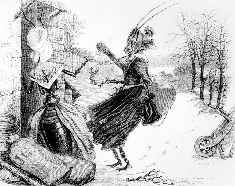 Quiz Fable : Elle chante