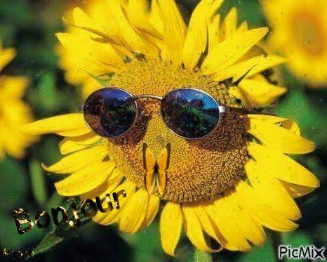Quiz Fleurs