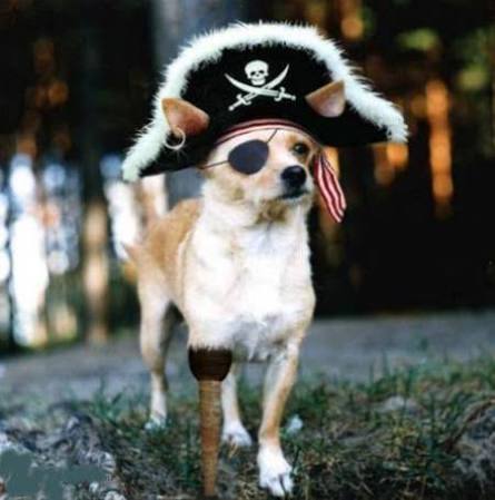 Quiz Pirates & corsaires
