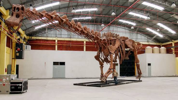 Quiz Dinosaures : Argentinosaurus
